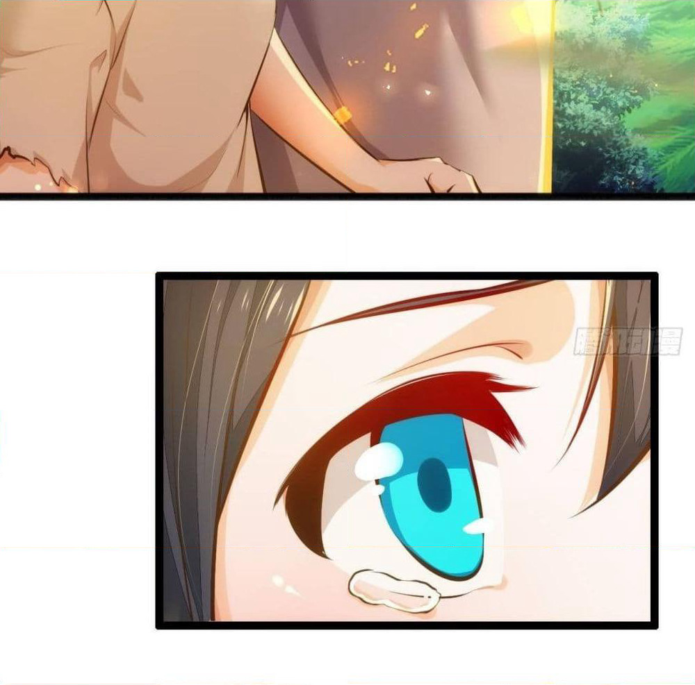 Tianjie Agent page 30