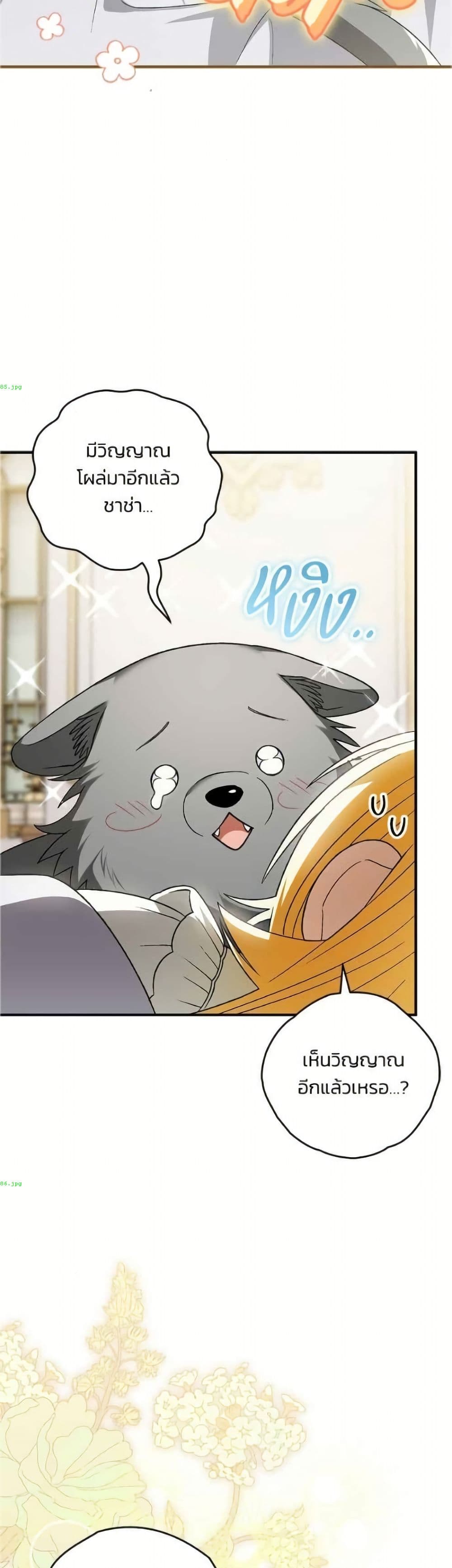 To My Dear Wolf page 41