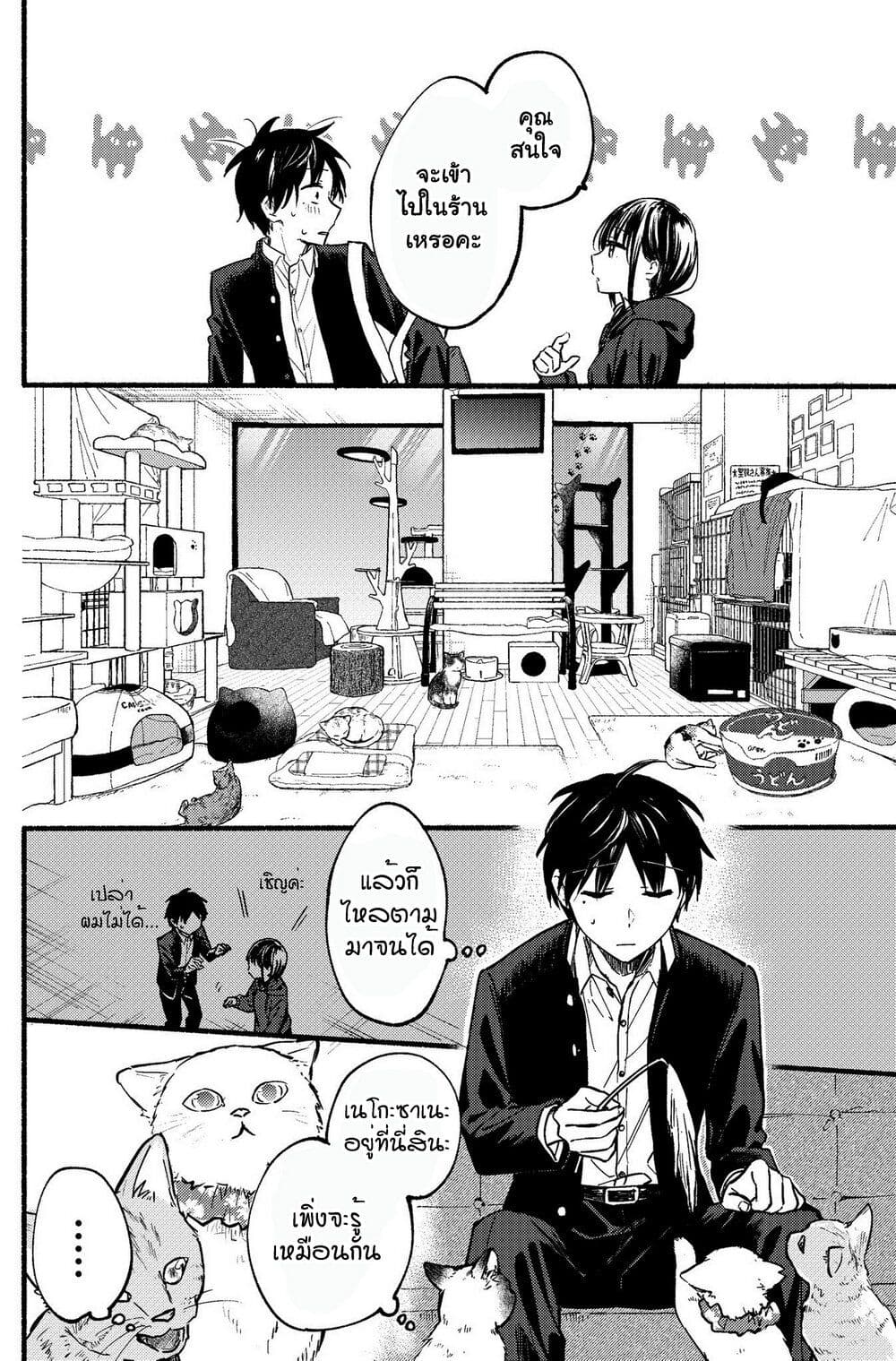 Tonari No Neko To Koi Shirazu page 19
