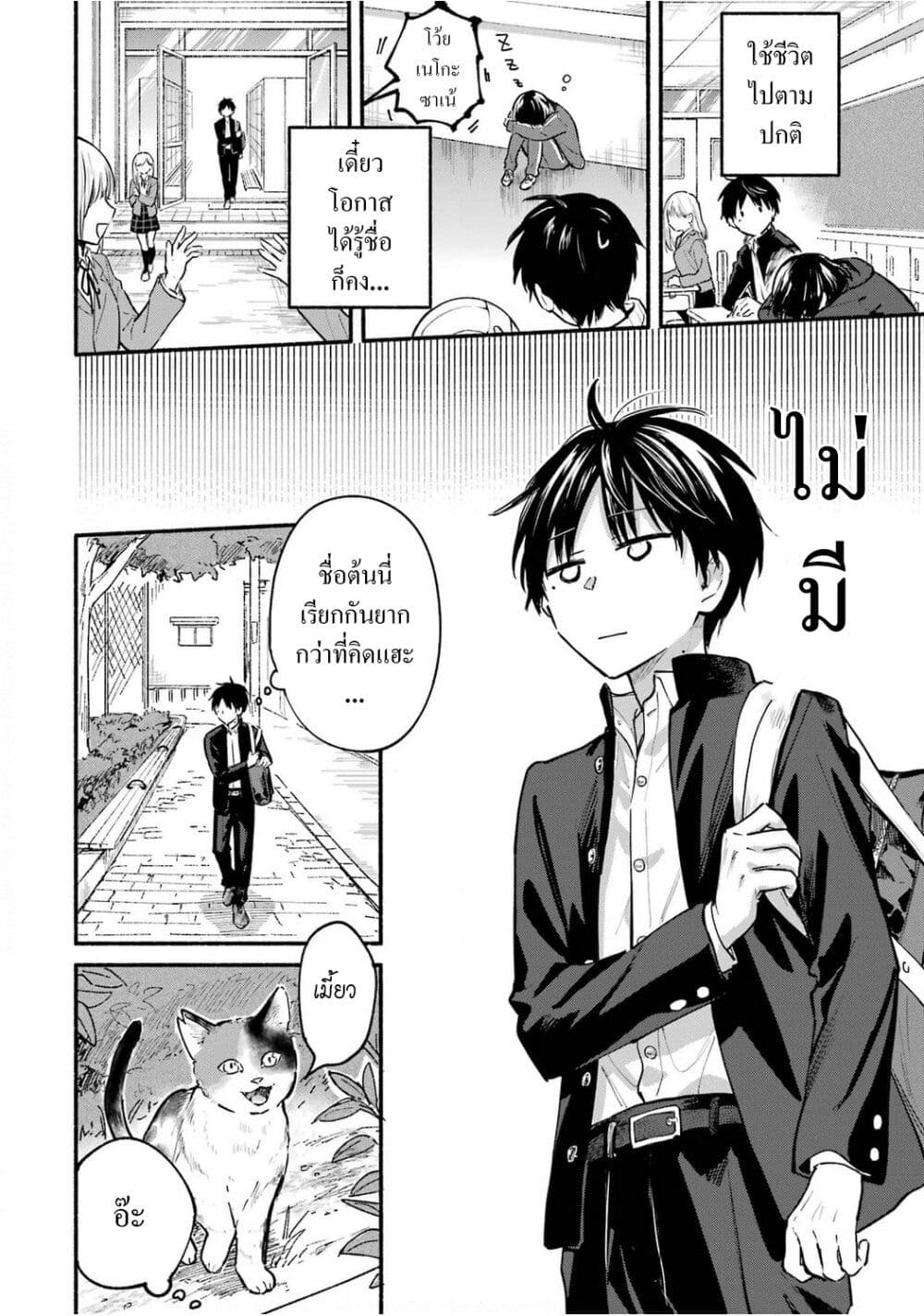 Tonari No Neko To Koi Shirazu page 6
