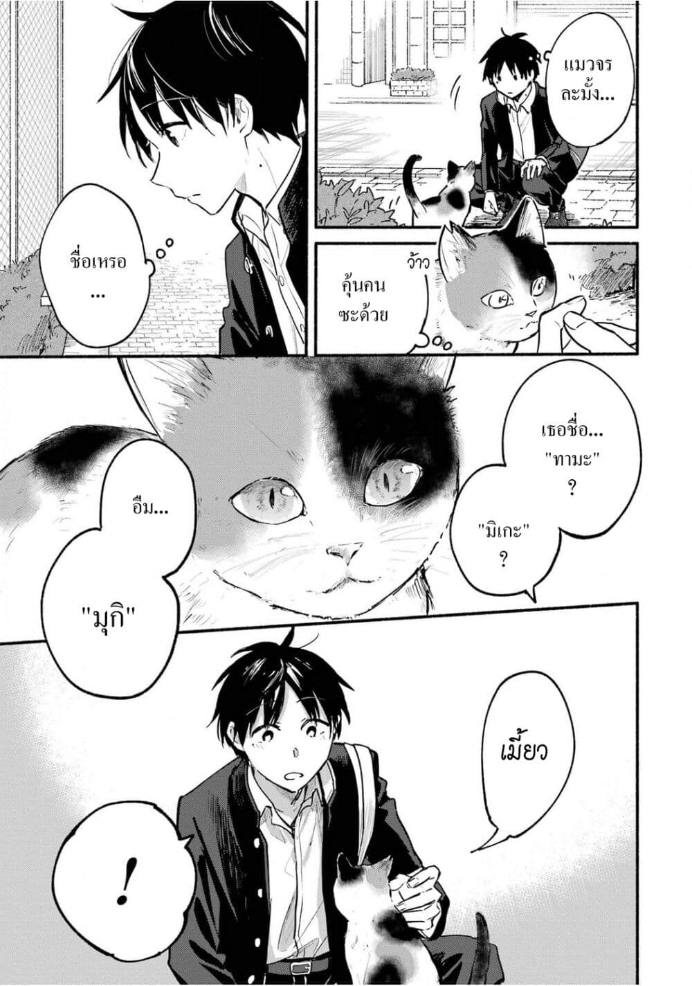 Tonari No Neko To Koi Shirazu page 7