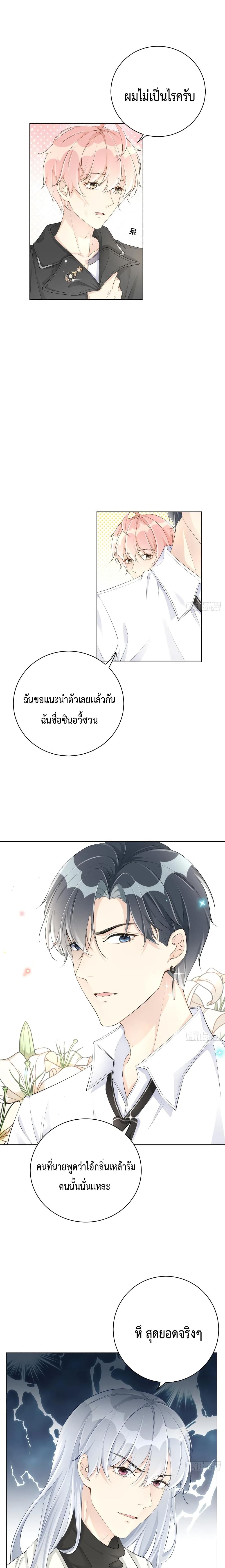 Top Plaything page 4