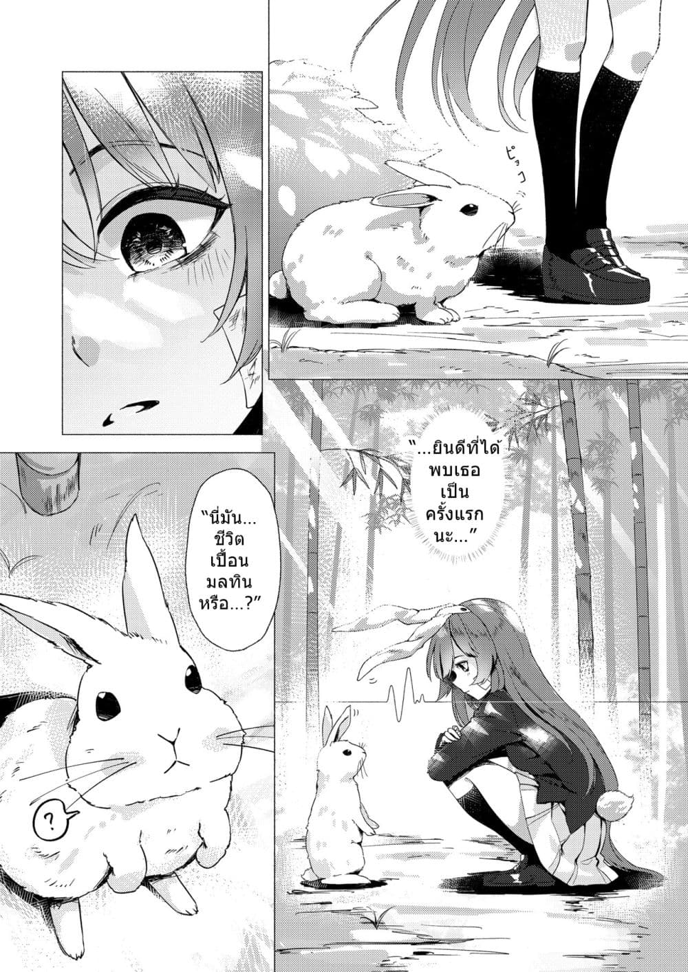 Touhou project Rabbit lost wing By otomeza ryuseigun page 18