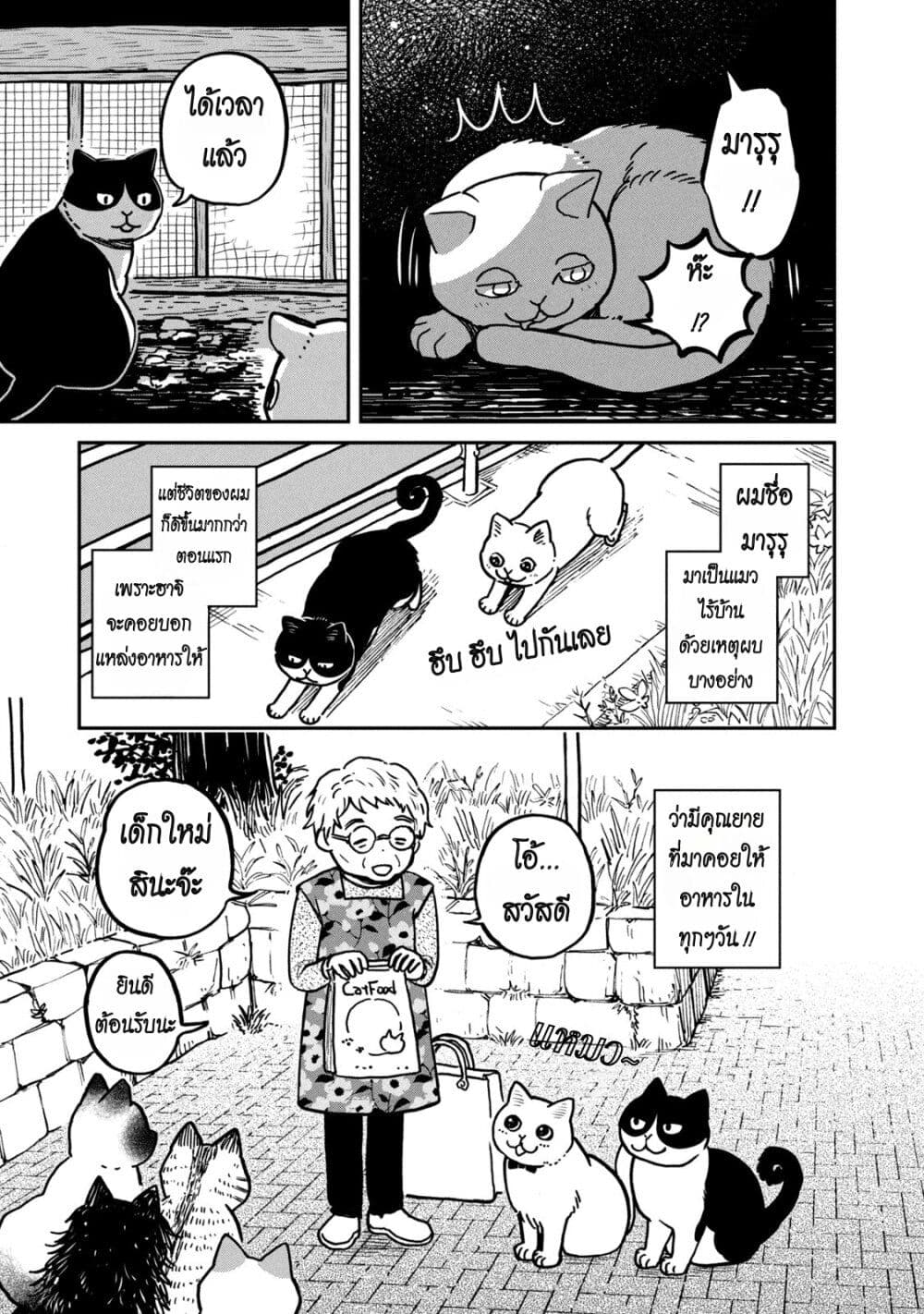 Tsureneko - Maruru to Hachi page 3