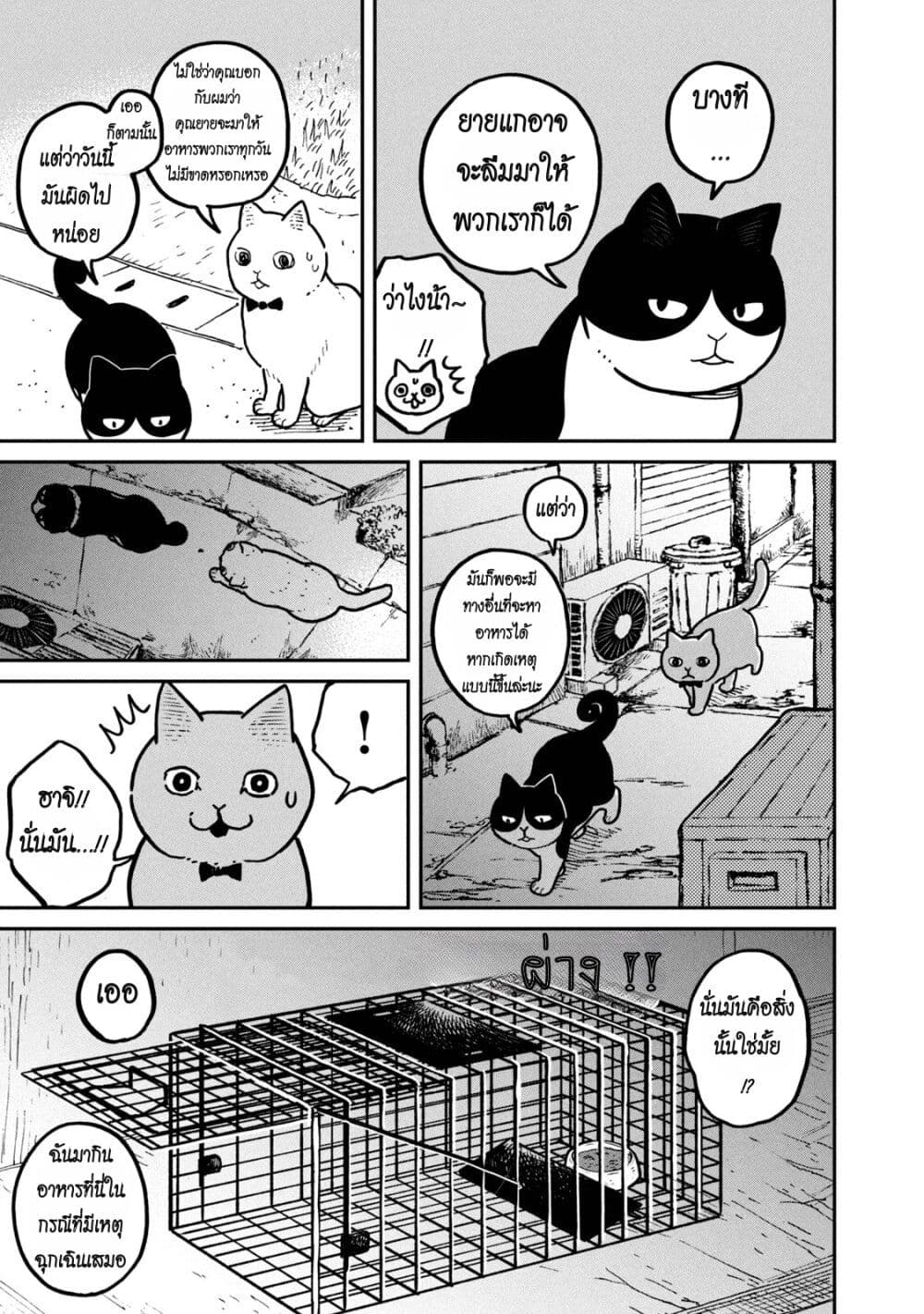 Tsureneko - Maruru to Hachi page 9