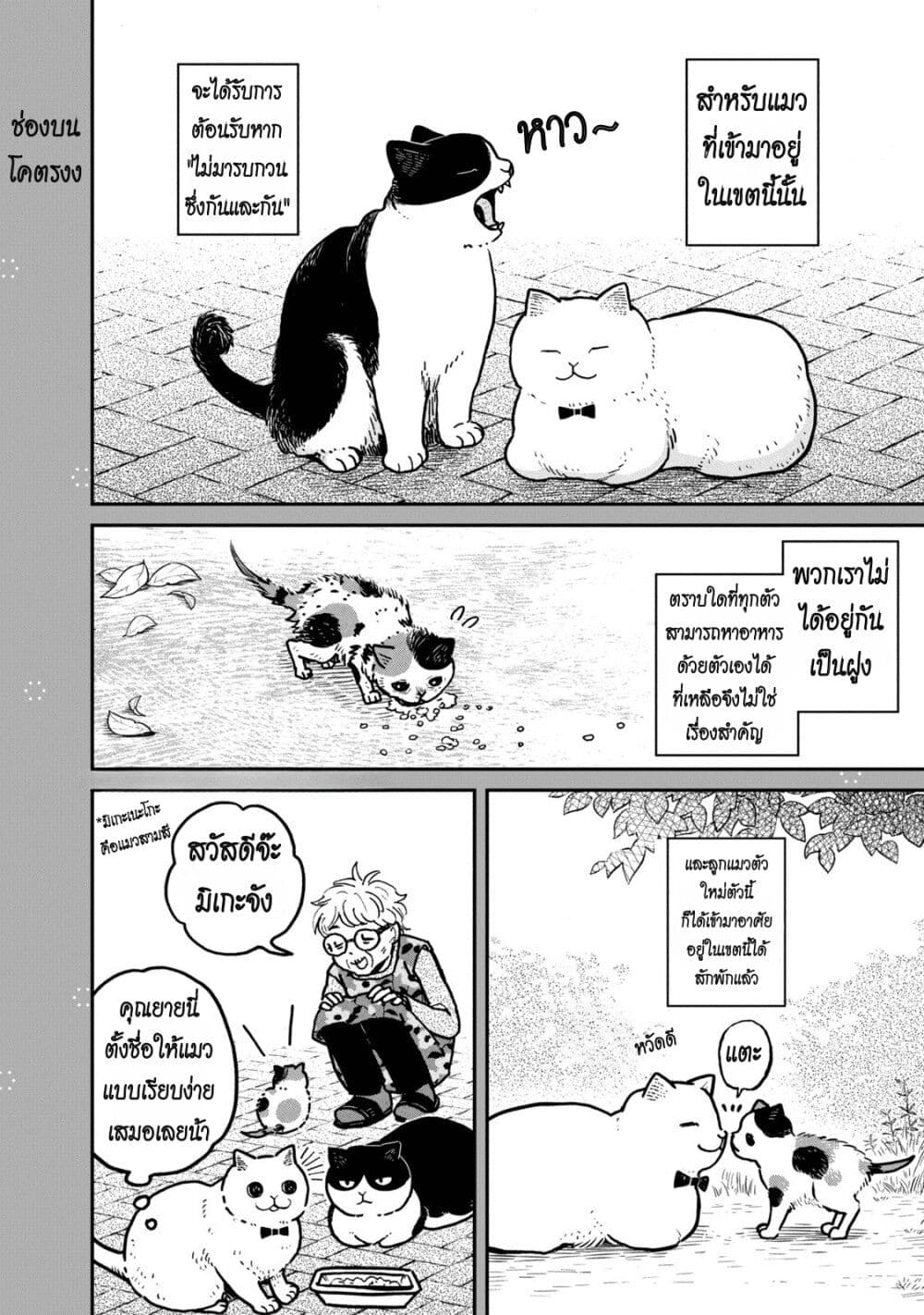 Tsureneko - Maruru to Hachi page 2