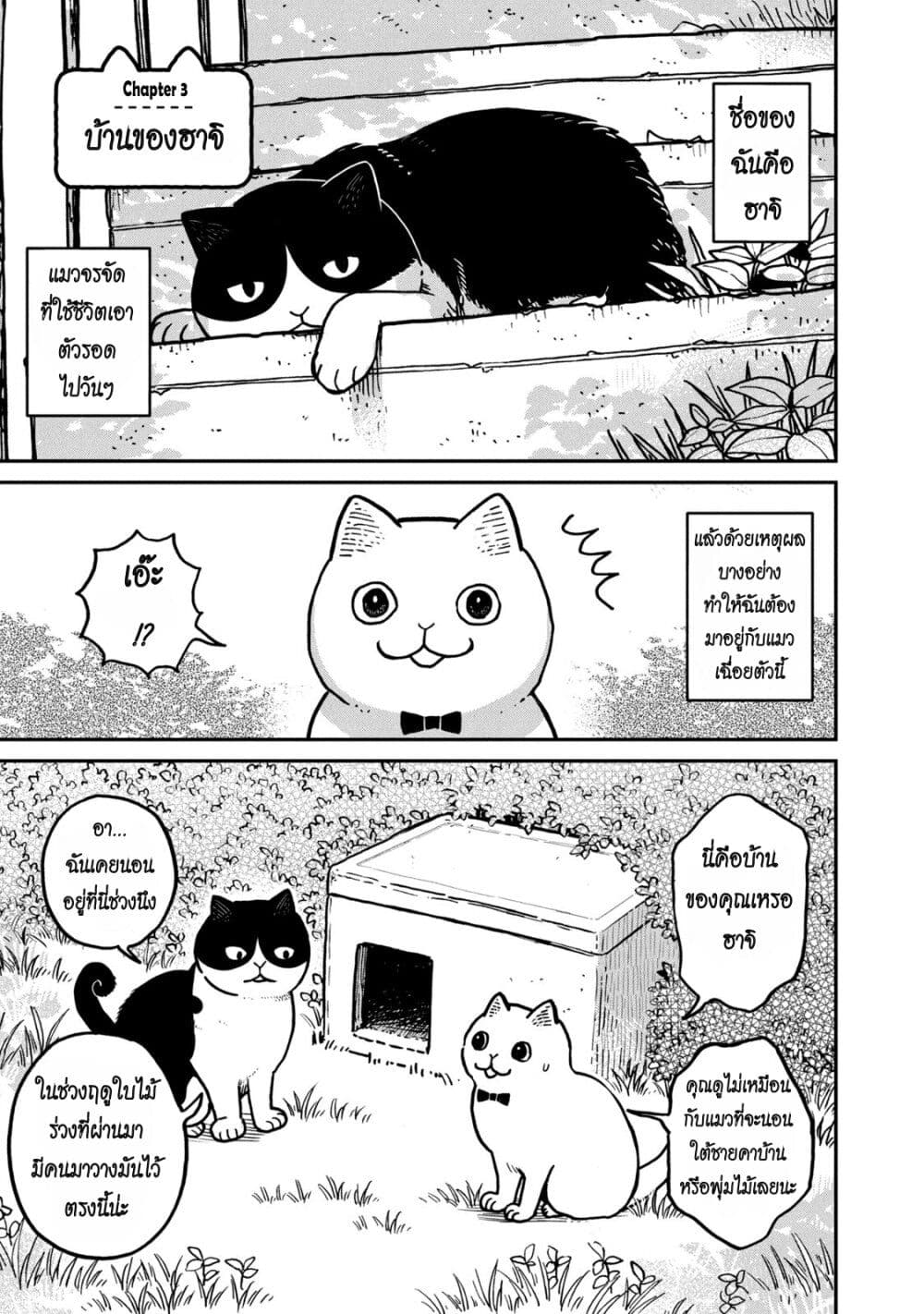 Tsureneko - Maruru to Hachi page 1