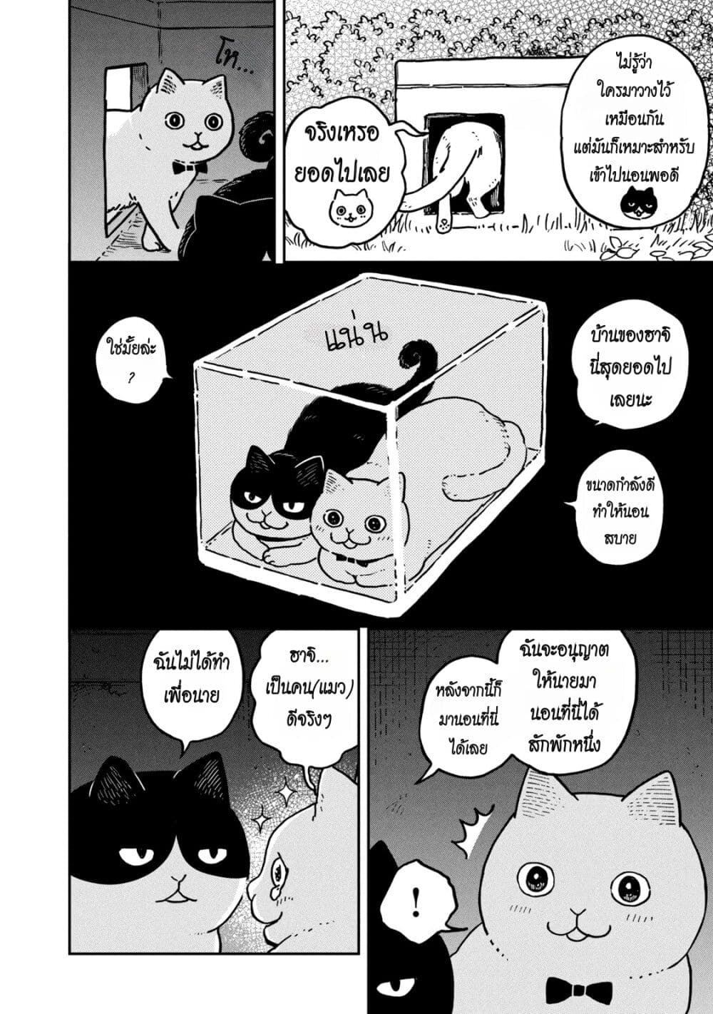 Tsureneko - Maruru to Hachi page 2