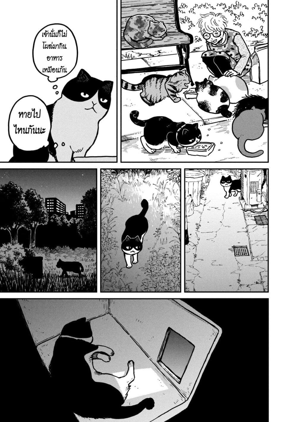 Tsureneko - Maruru to Hachi page 5
