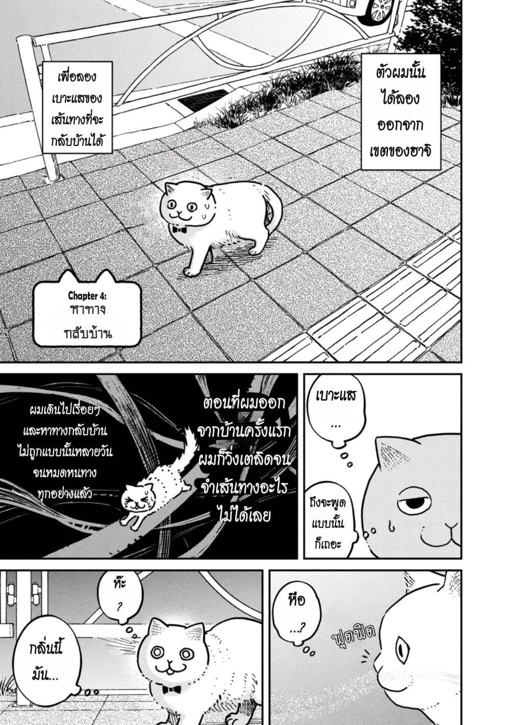 Tsureneko - Maruru to Hachi page 1