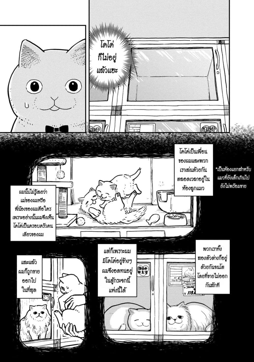Tsureneko - Maruru to Hachi page 3