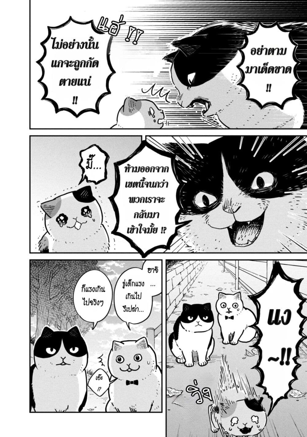 Tsureneko - Maruru to Hachi page 7