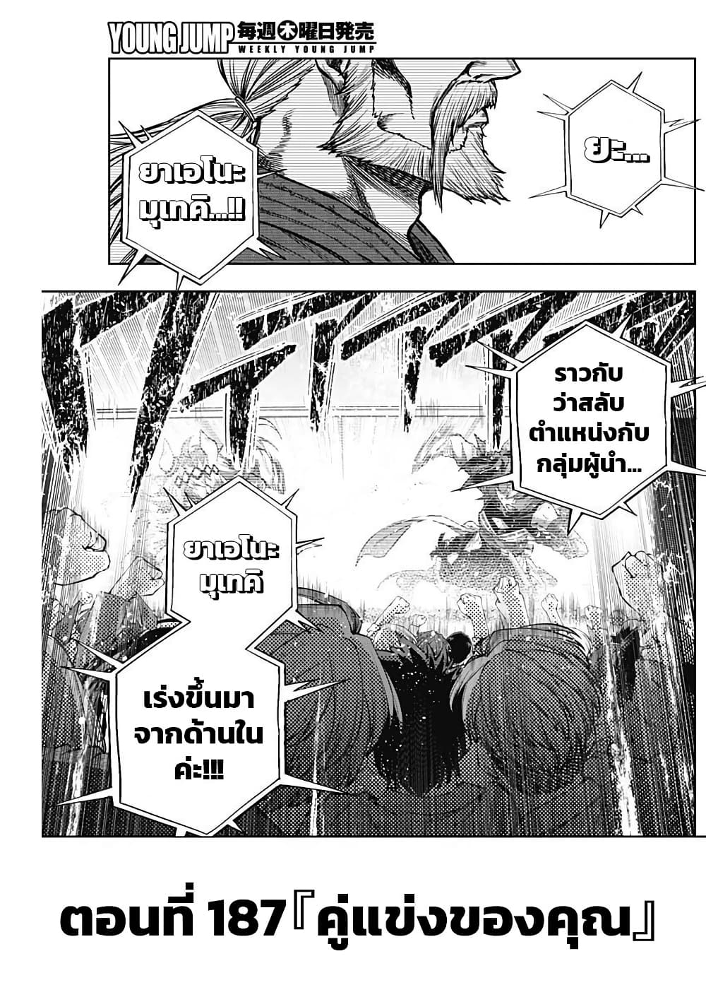 Uma Musume: Cinderella Gray page 3