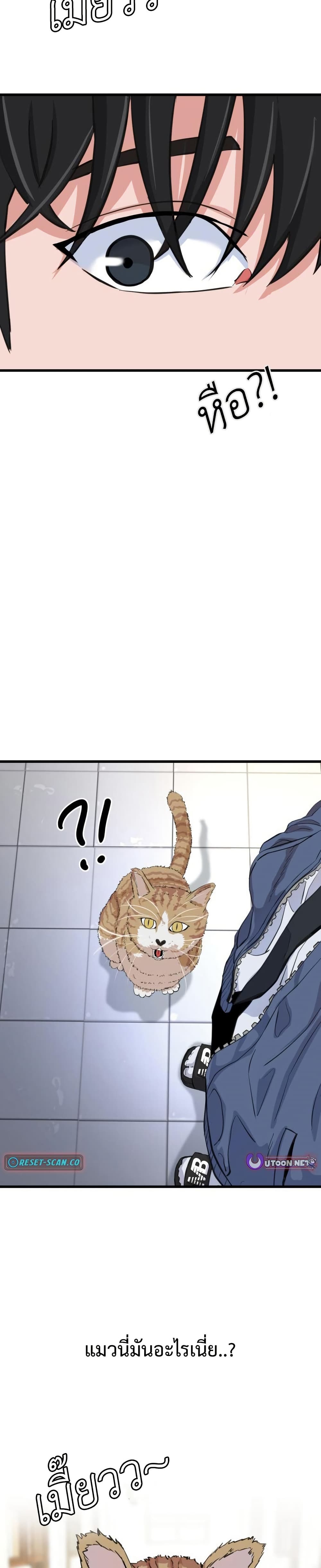 Under Boxer page 27