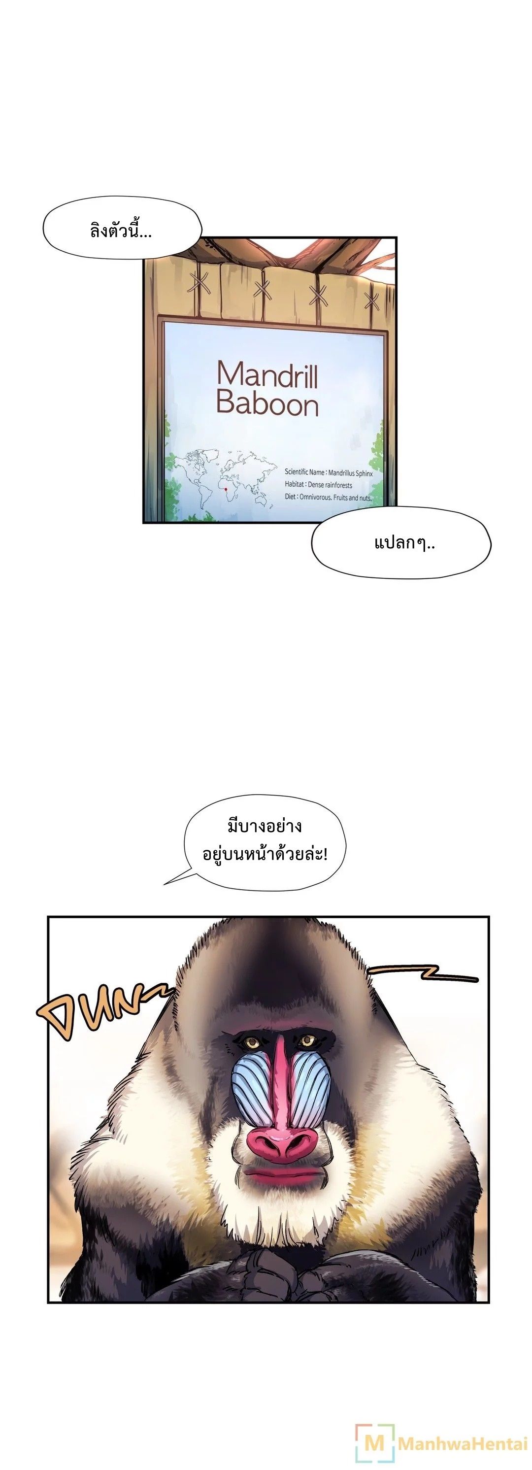 Under Observation: My First Loves and I page 21