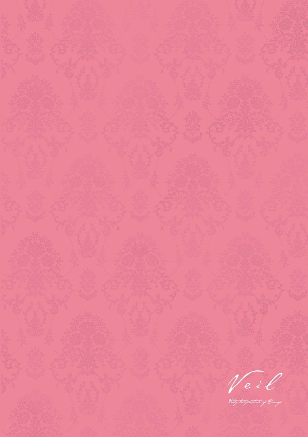 Veil page 4