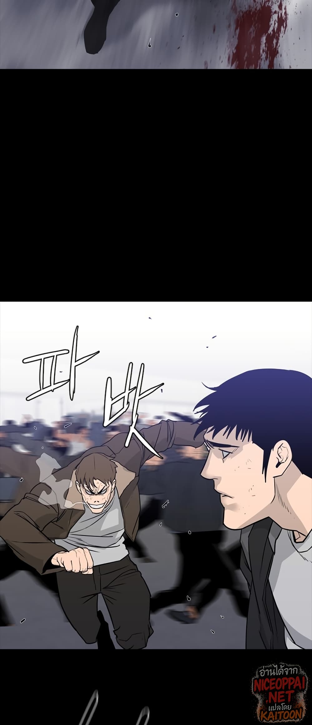 VS page 13