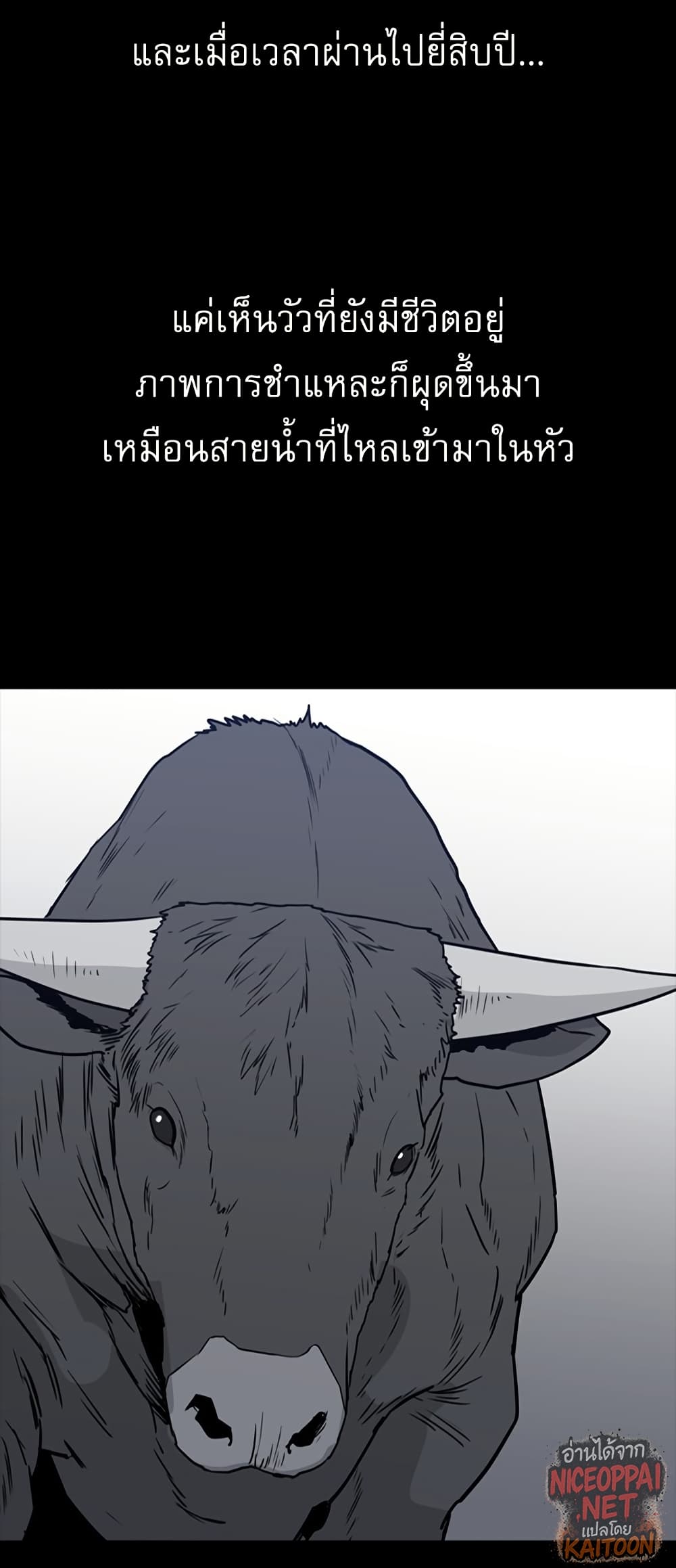 VS page 31