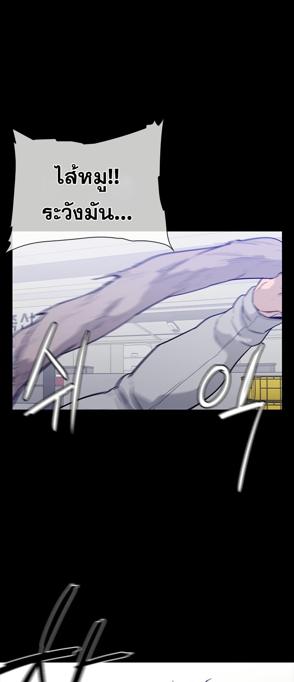 VS page 46