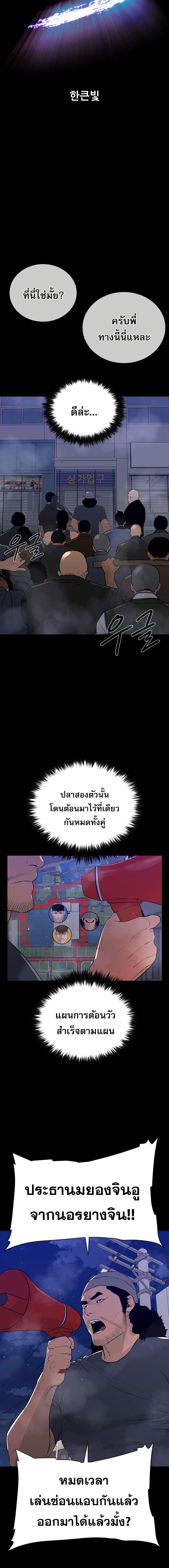 VS page 13