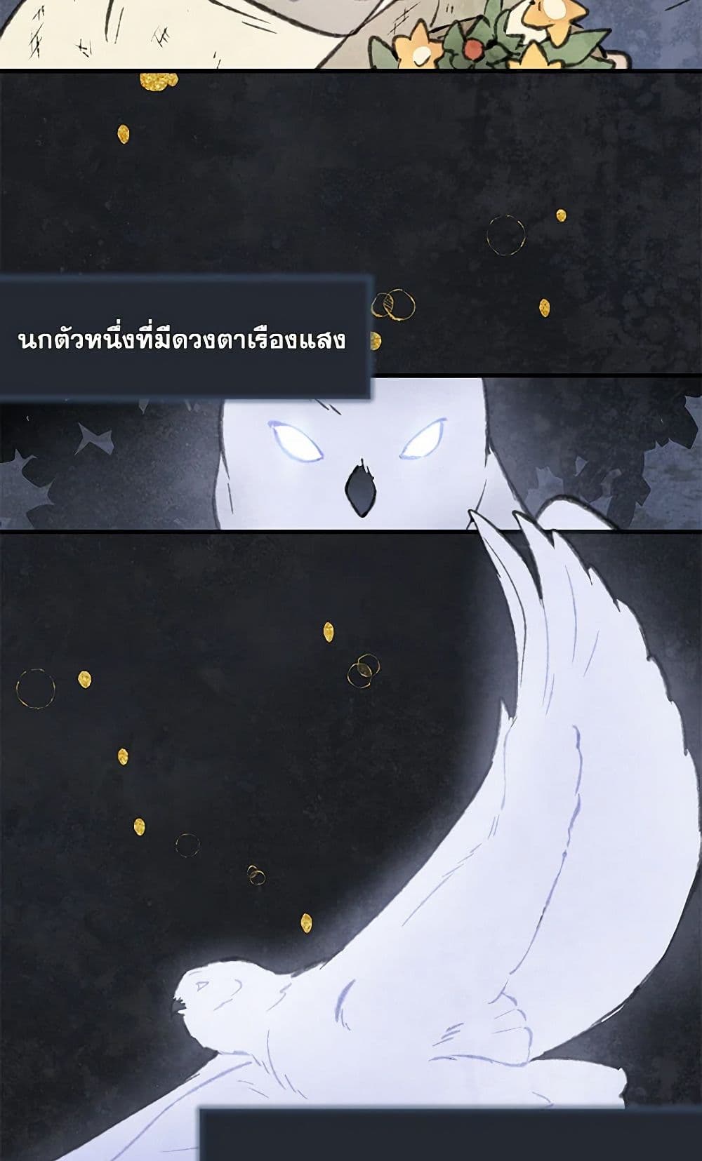 Wait Where the Shooting Star Falls page 41