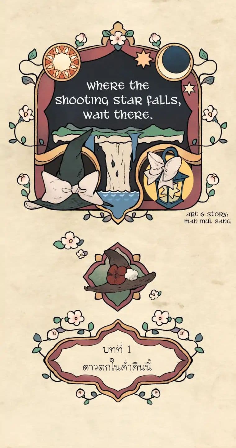 Wait Where the Shooting Star Has Fallen page 17