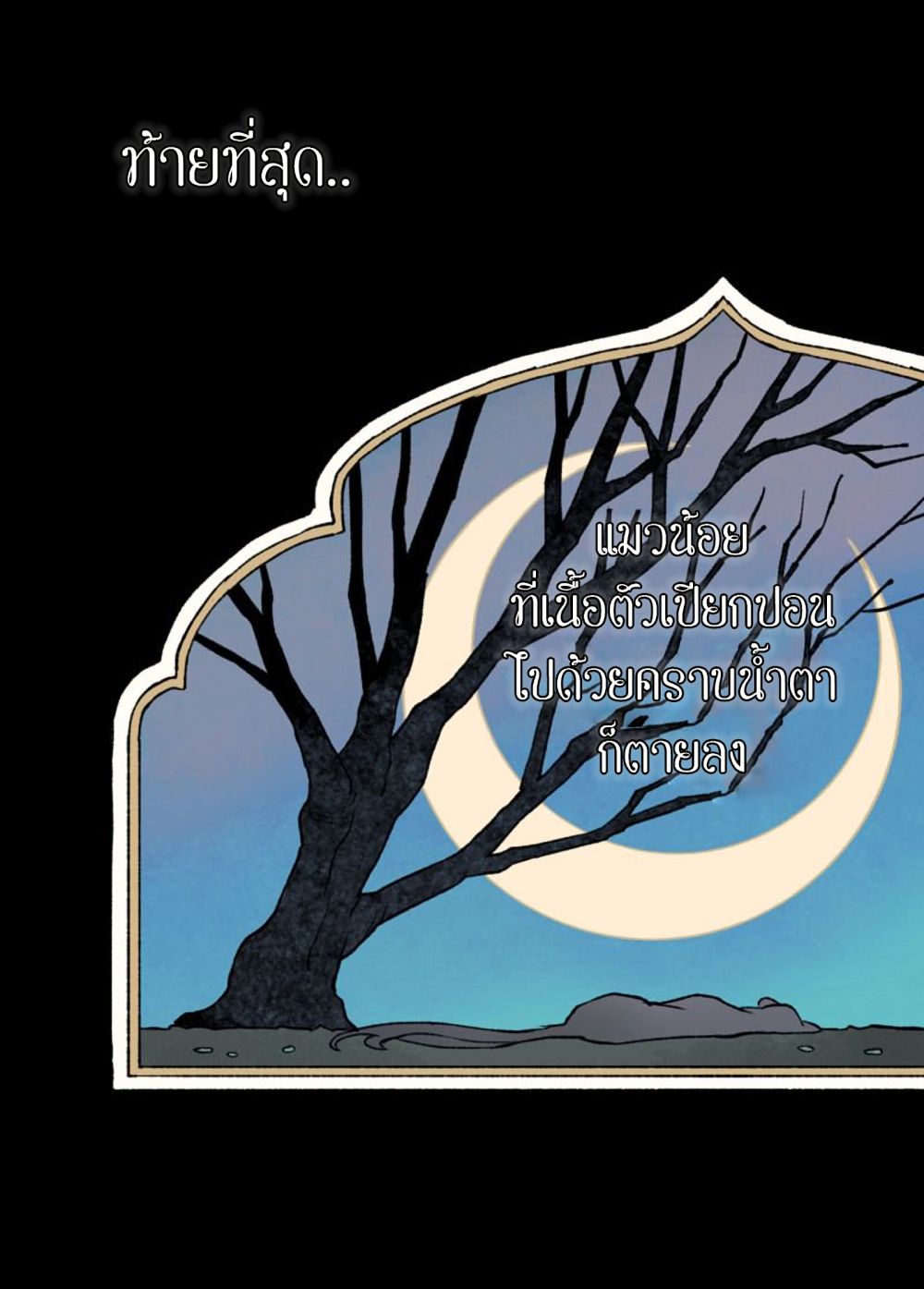 Wait Where the Shooting Star Has Fallen page 48