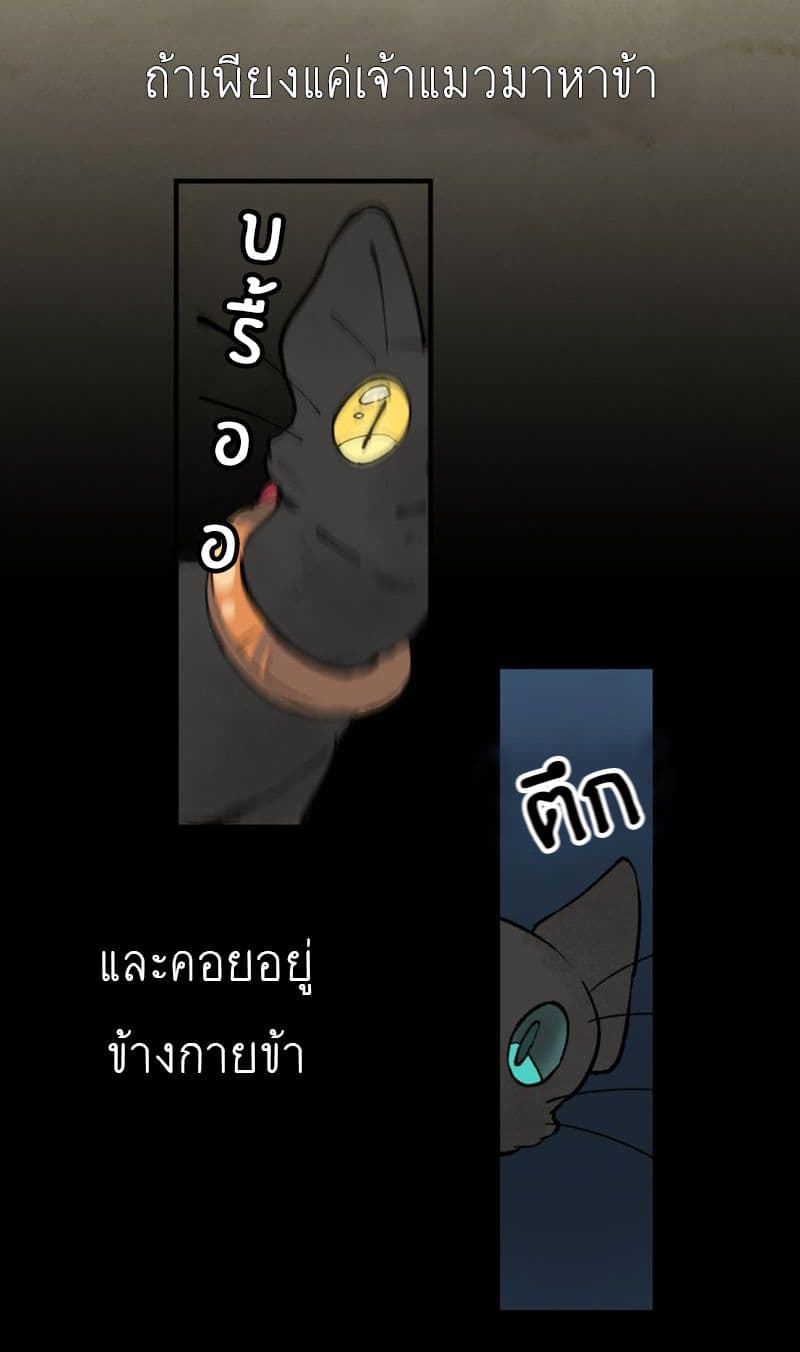 Wait Where the Shooting Star Has Fallen page 11