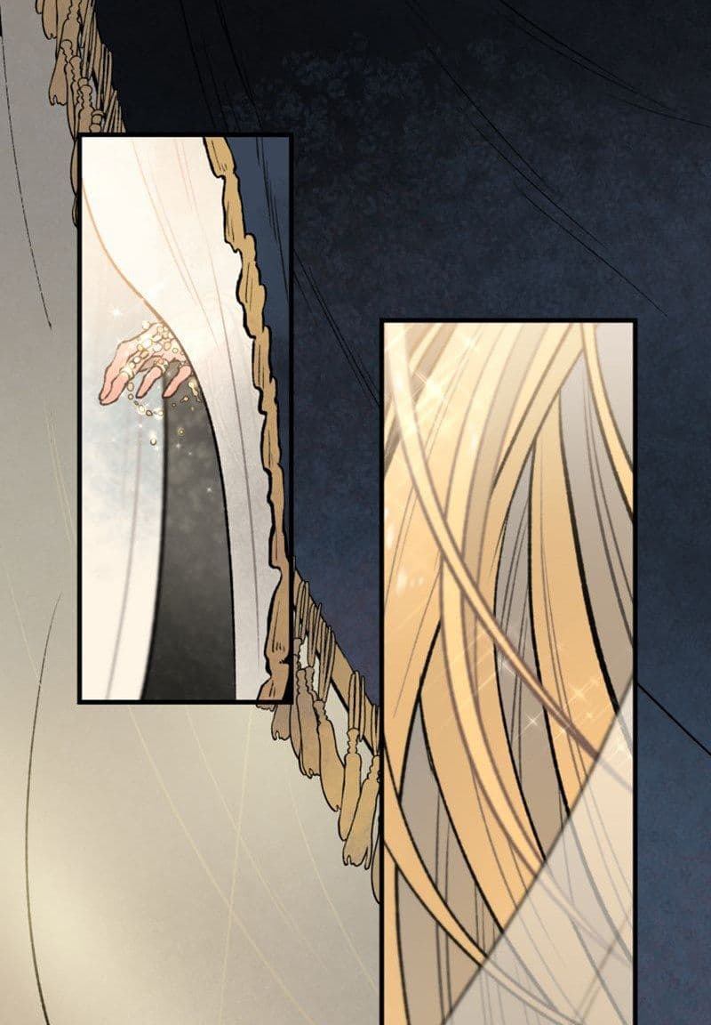 Wait Where the Shooting Star Has Fallen page 48