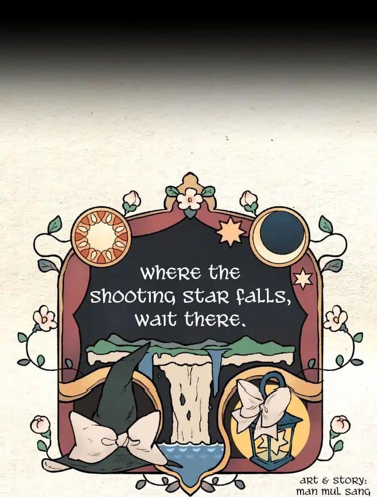 Wait Where the Shooting Star Has Fallen page 11