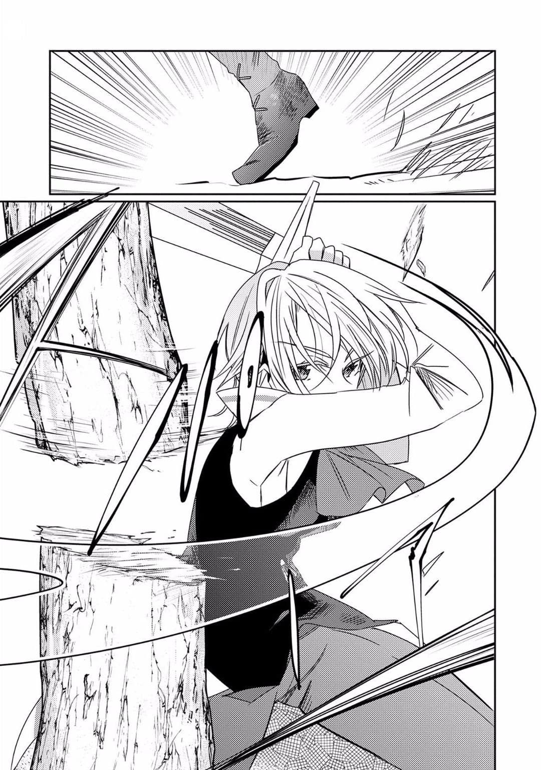 Watashi, Nouryoku wa Heikinchi de tte Itta yo ne! page 15