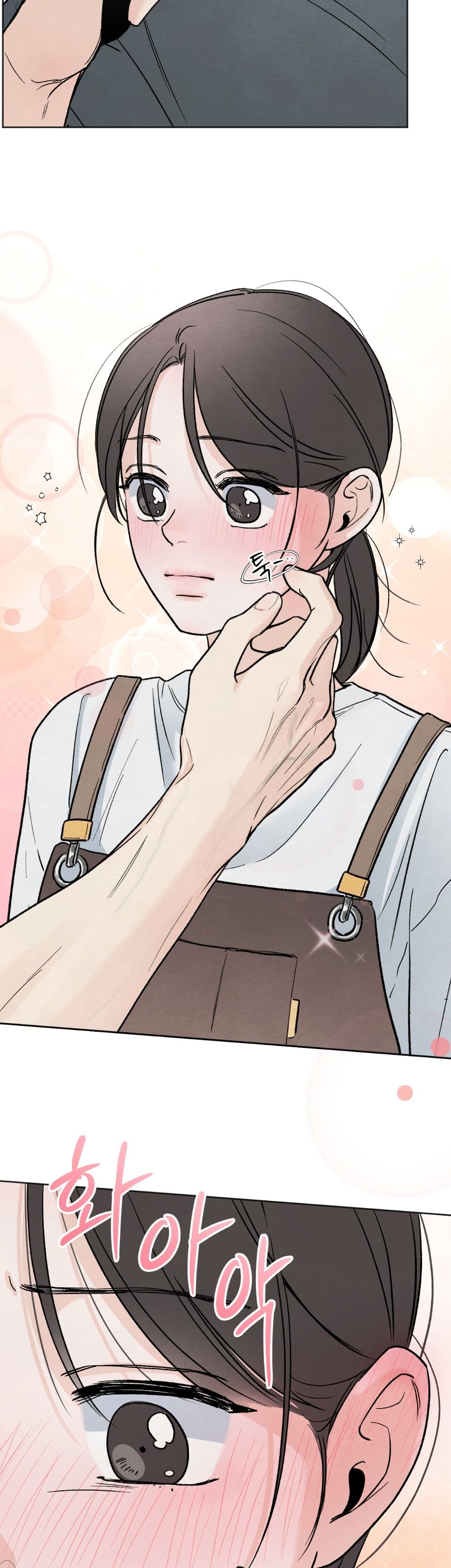 Who Is the Liar? page 29