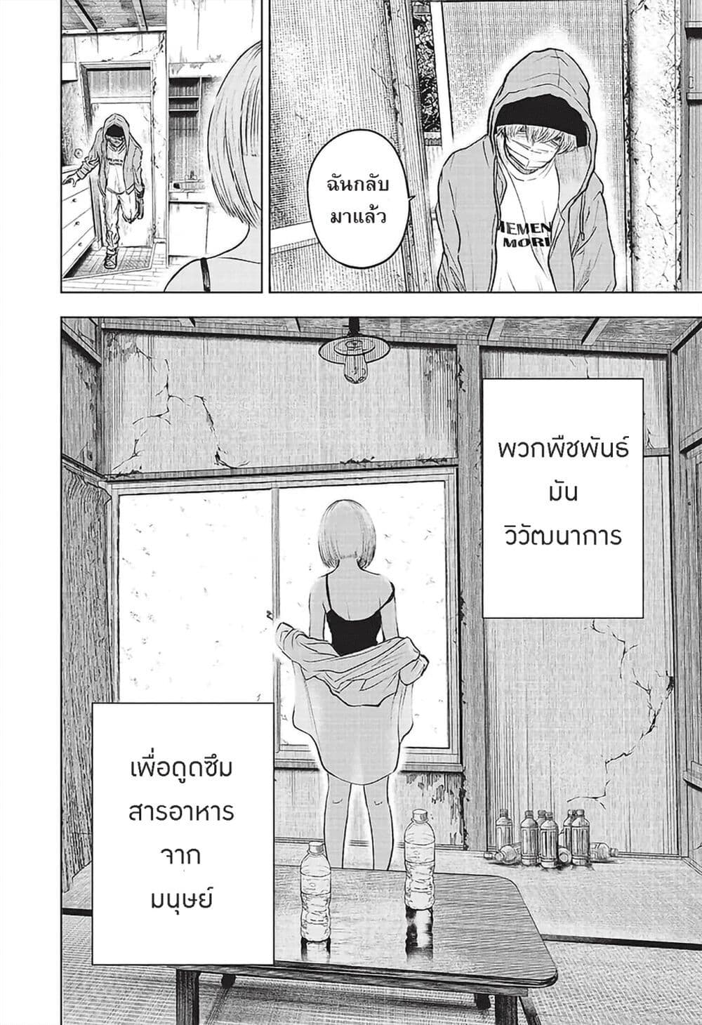 Wild Strawberry page 8