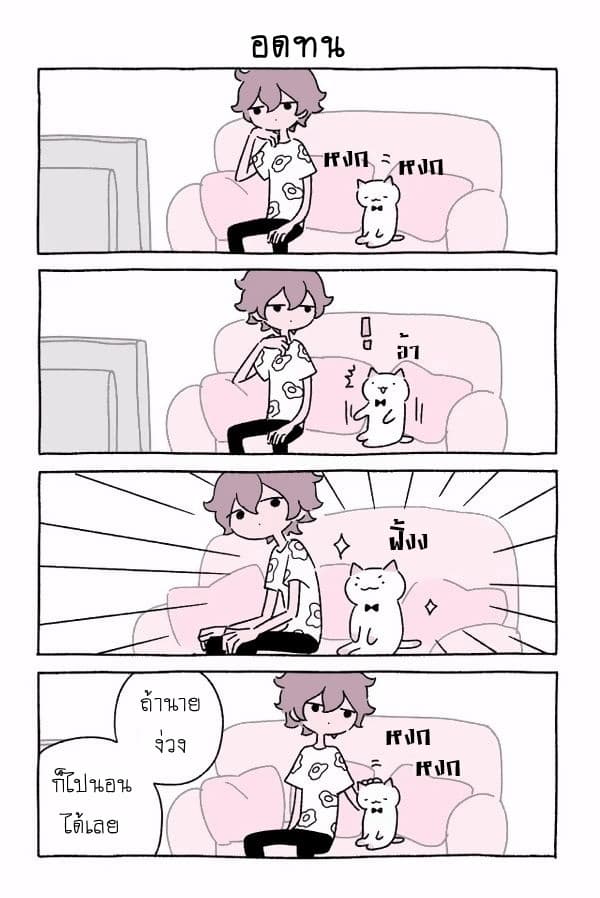 Wonder Cat Kyuu-chan คิวจัง แมวมหัศจรรย์ page 5