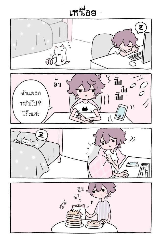 Wonder Cat Kyuu-chan คิวจัง แมวมหัศจรรย์ page 7