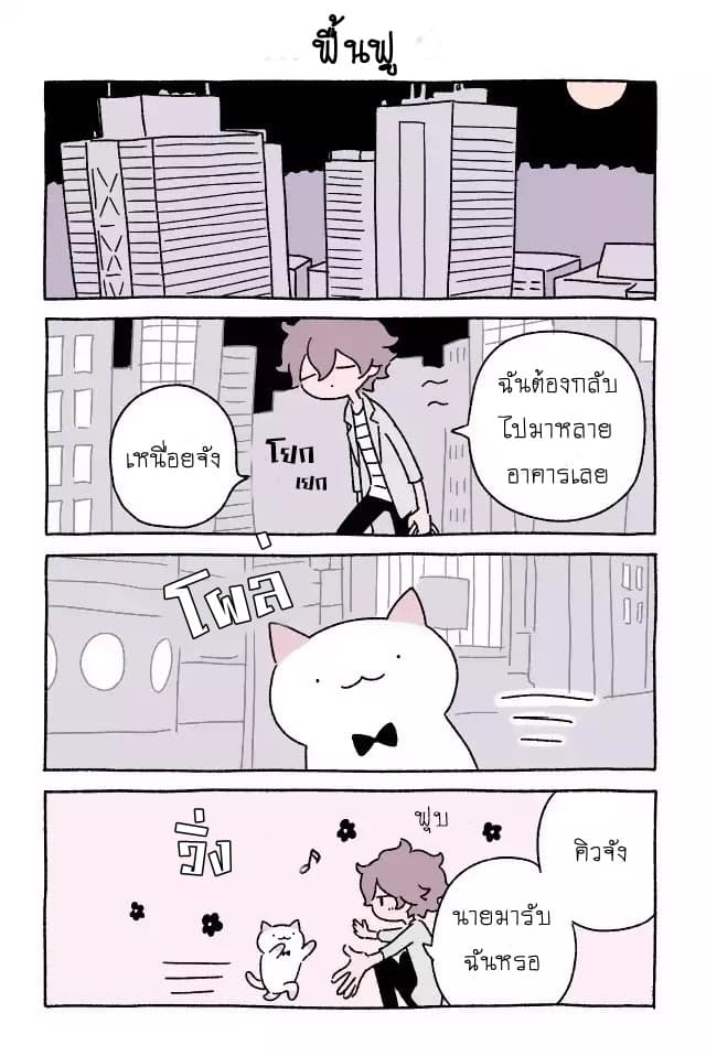 Wonder Cat Kyuu-chan คิวจัง แมวมหัศจรรย์ page 8