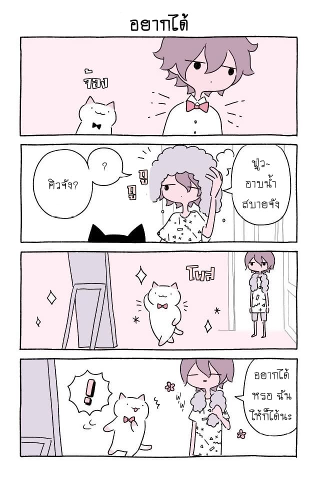 Wonder Cat Kyuu-chan คิวจัง แมวมหัศจรรย์ page 2