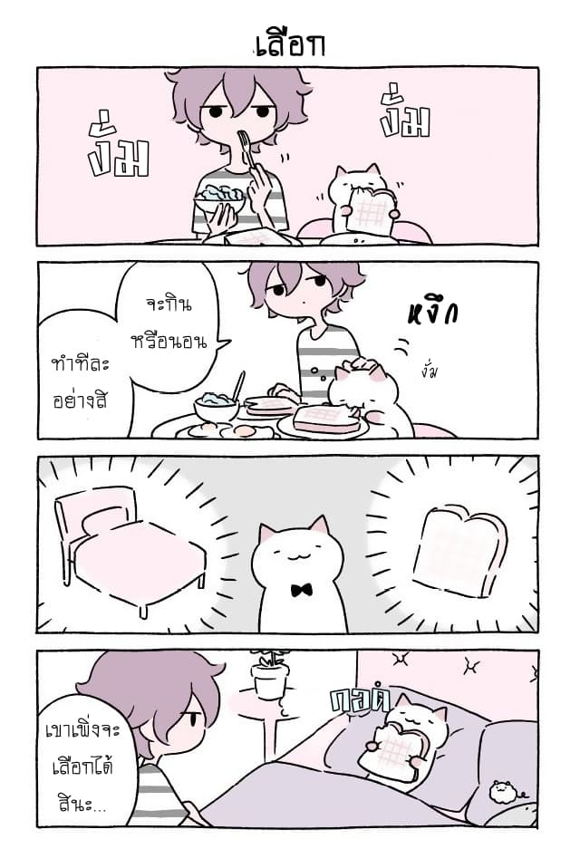 Wonder Cat Kyuu-chan คิวจัง แมวมหัศจรรย์ page 7