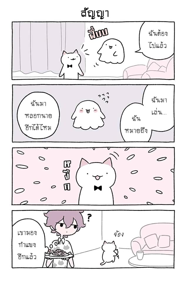 Wonder Cat Kyuu-chan คิวจัง แมวมหัศจรรย์ page 6