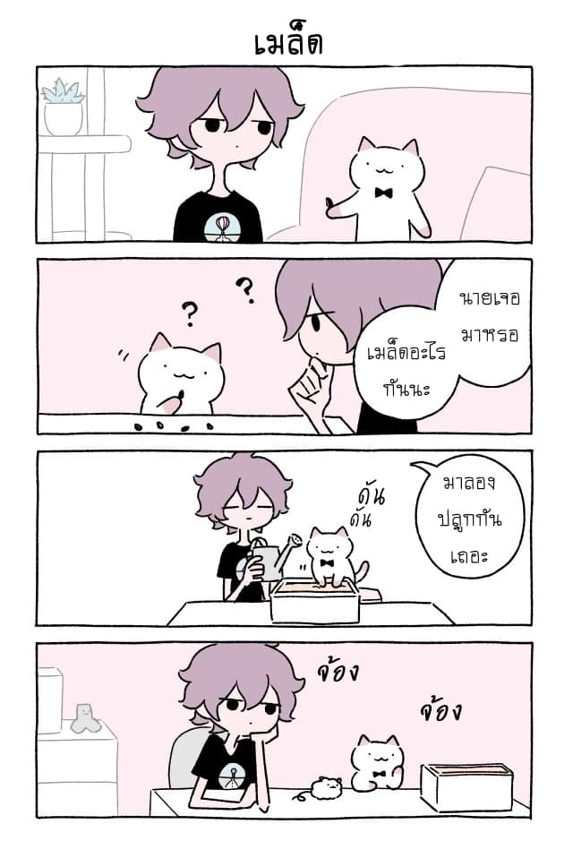 Wonder Cat Kyuu-chan คิวจัง แมวมหัศจรรย์ page 3