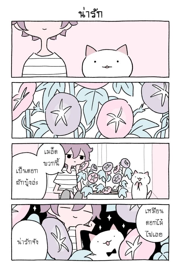 Wonder Cat Kyuu-chan คิวจัง แมวมหัศจรรย์ page 6