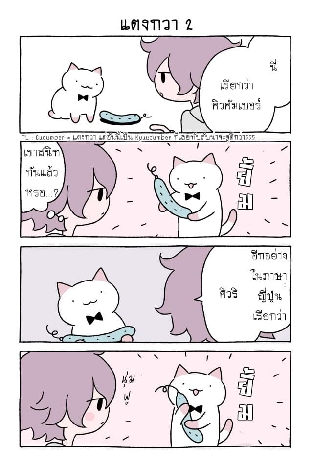 Wonder Cat Kyuu-chan คิวจัง แมวมหัศจรรย์ page 6
