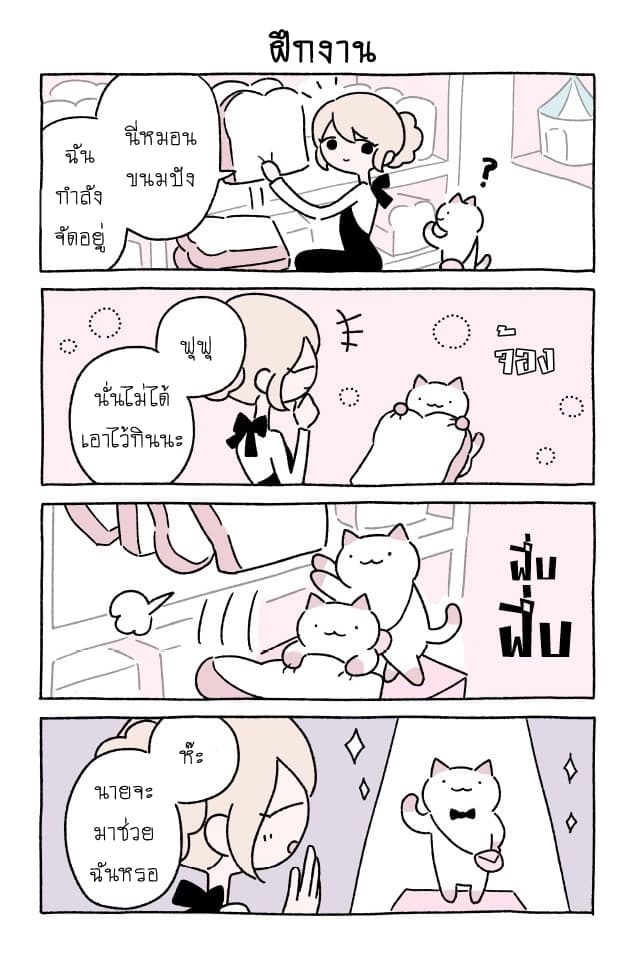 Wonder Cat Kyuu-chan คิวจัง แมวมหัศจรรย์ page 7