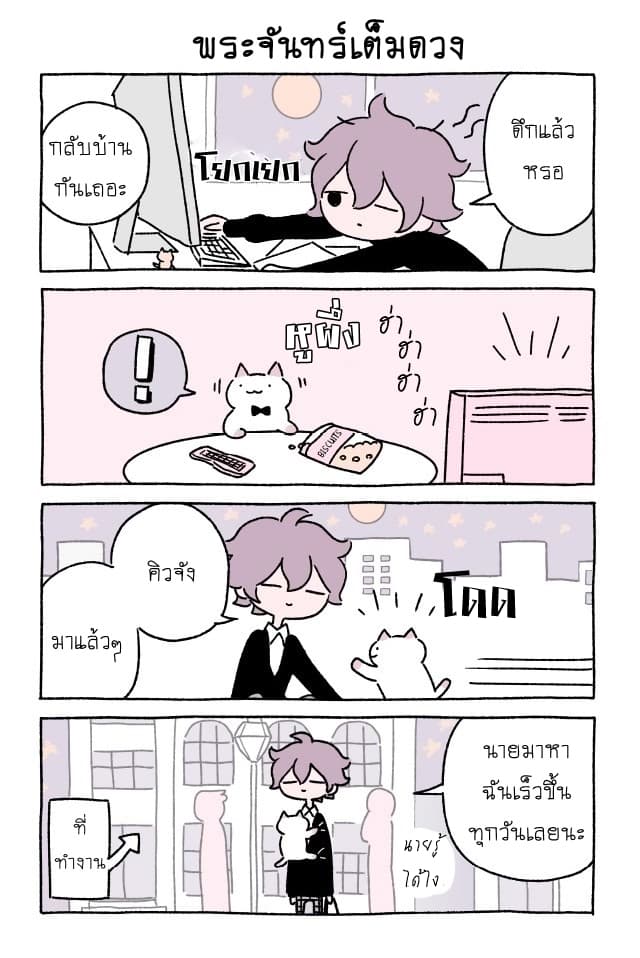 Wonder Cat Kyuu-chan คิวจัง แมวมหัศจรรย์ page 3