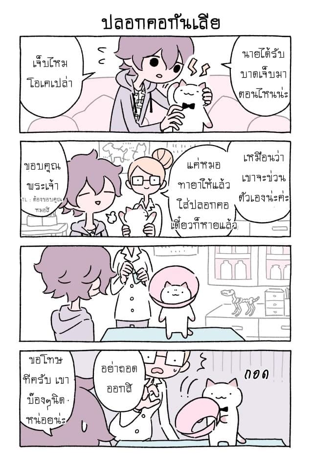 Wonder Cat Kyuu-chan คิวจัง แมวมหัศจรรย์ page 8
