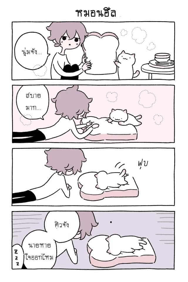 Wonder Cat Kyuu-chan คิวจัง แมวมหัศจรรย์ page 3