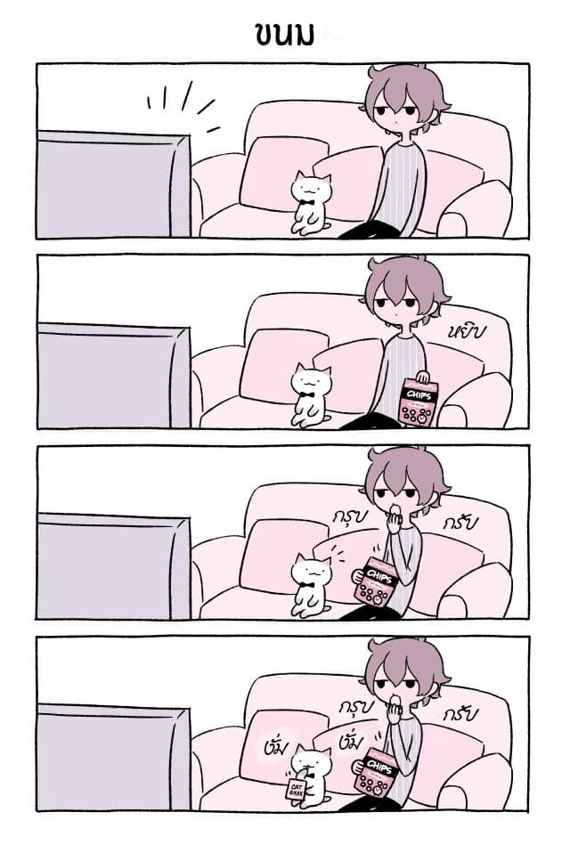 Wonder Cat Kyuu-chan คิวจัง แมวมหัศจรรย์ page 4