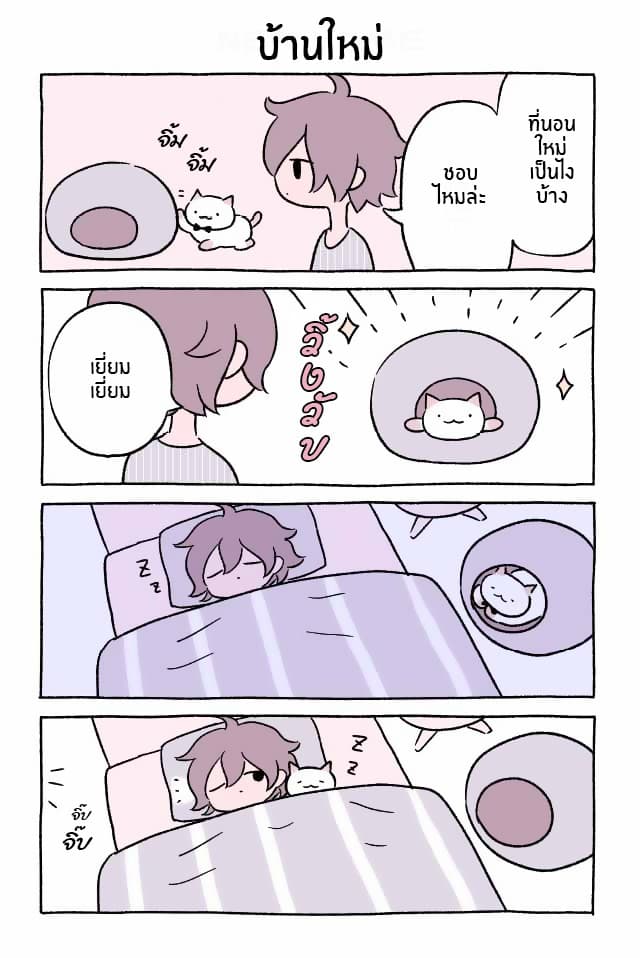 Wonder Cat Kyuu-chan คิวจัง แมวมหัศจรรย์ page 6