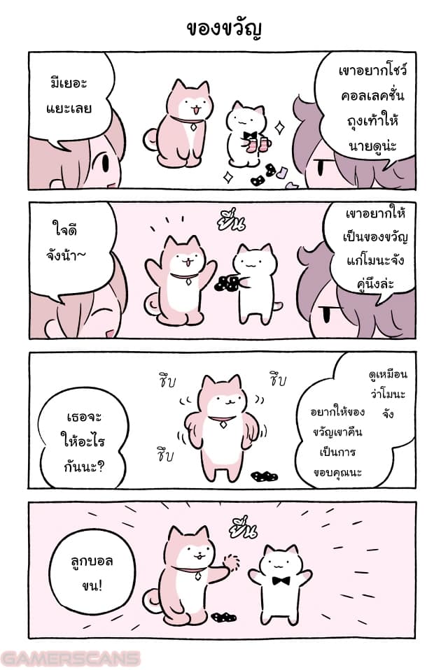 Wonder Cat Kyuu-chan คิวจัง แมวมหัศจรรย์ page 6