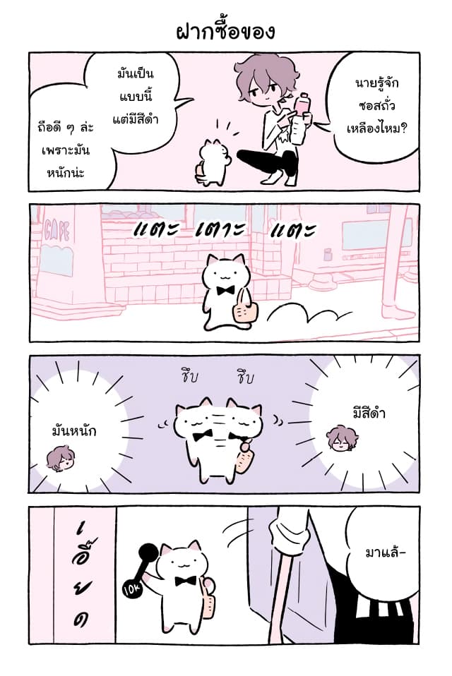 Wonder Cat Kyuu-chan คิวจัง แมวมหัศจรรย์ page 7